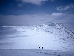 白い世界では自分の体温だけが確かです