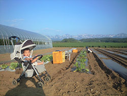 子供と一緒に農作業